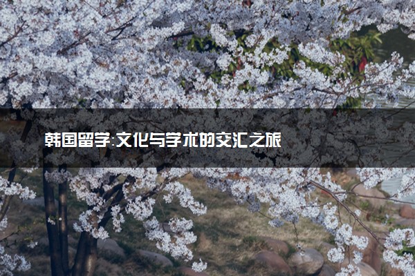 韩国留学：文化与学术的交汇之旅