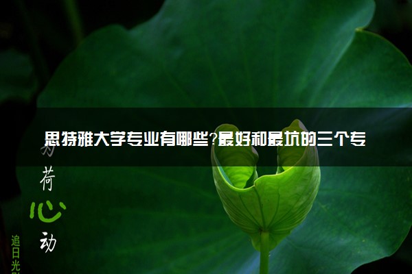 思特雅大学专业有哪些？最好和最坑的三个专业分别是什么？