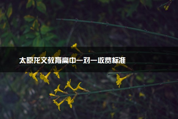太原龙文教育高中一对一收费标准