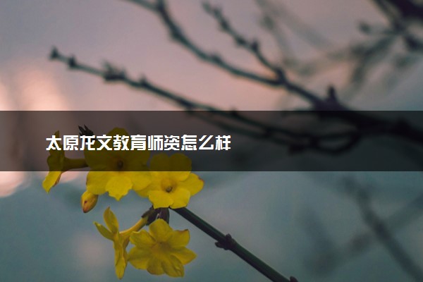 太原龙文教育师资怎么样