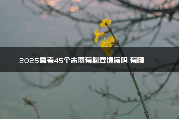 2025高考45个志愿有必要填满吗 有哪些填报技巧