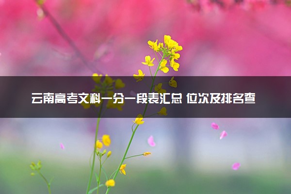 云南高考文科一分一段表汇总 位次及排名查询（2025年参考）