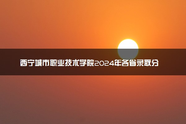 西宁城市职业技术学院2024年各省录取分数线 多少分能考上