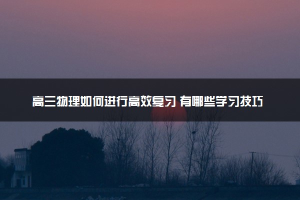 高三物理如何进行高效复习 有哪些学习技巧