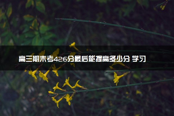 高三期末考426分最后能提高多少分 学习方法有哪些