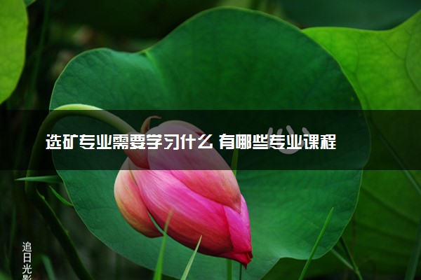 选矿专业需要学习什么 有哪些专业课程