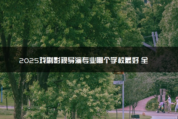 2025戏剧影视导演专业哪个学校最好 全国排名前10强