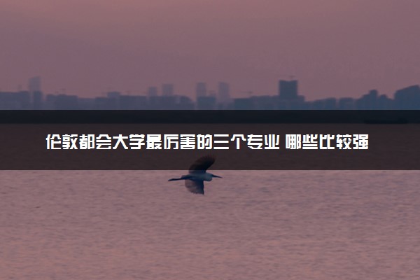 伦敦都会大学最厉害的三个专业 哪些比较强势