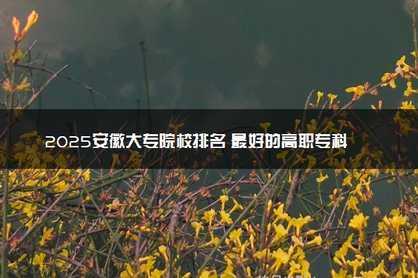 2025安徽大专院校排名 最好的高职专科大学排行榜