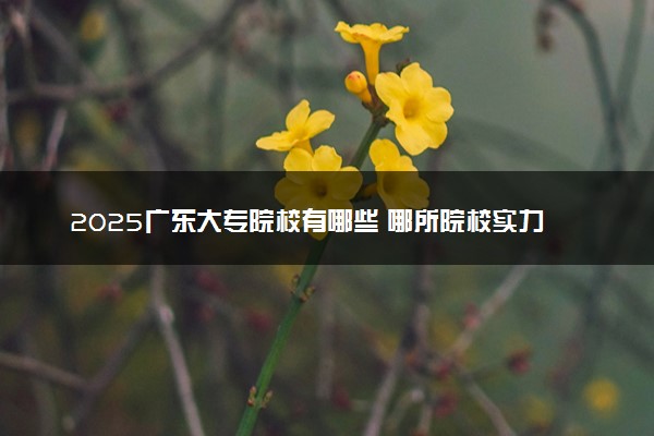2025广东大专院校有哪些 哪所院校实力强