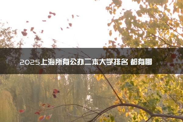 2025上海所有公办二本大学排名 都有哪些二本院校