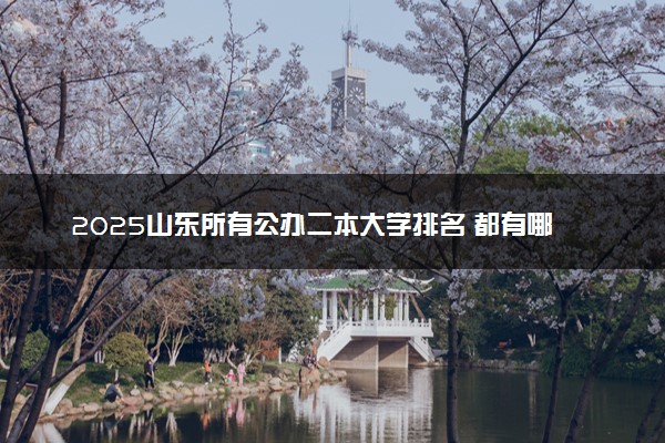 2025山东所有公办二本大学排名 都有哪些二本院校