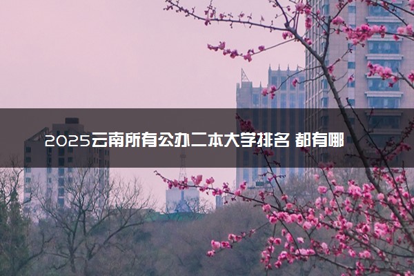 2025云南所有公办二本大学排名 都有哪些二本院校