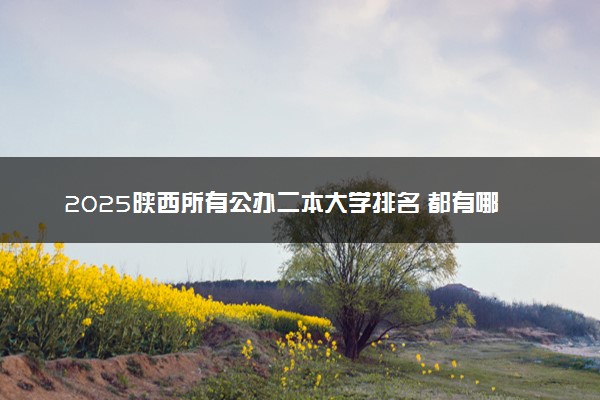 2025陕西所有公办二本大学排名 都有哪些二本院校