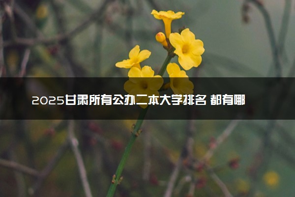 2025甘肃所有公办二本大学排名 都有哪些二本院校