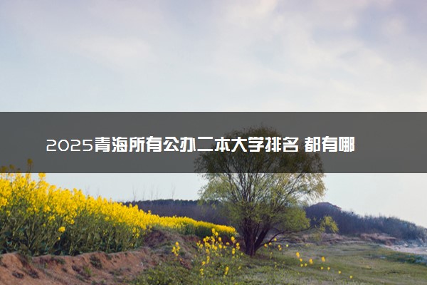 2025青海所有公办二本大学排名 都有哪些二本院校