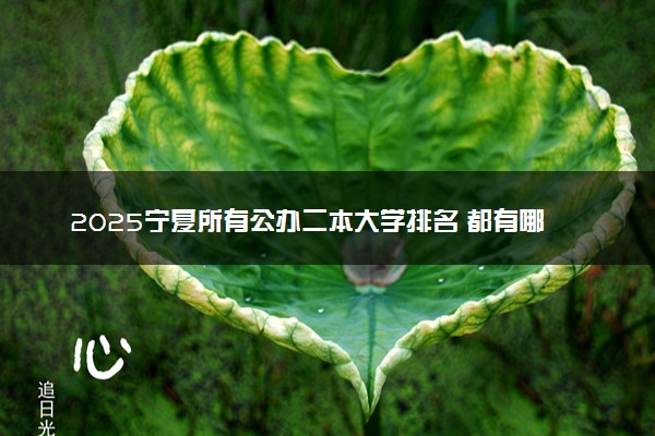 2025宁夏所有公办二本大学排名 都有哪些二本院校