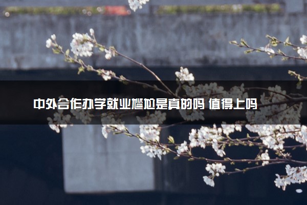 中外合作办学就业尴尬是真的吗 值得上吗