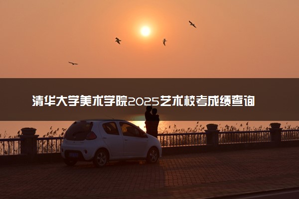 清华大学美术学院2025艺术校考成绩查询时间及入口 几号公布成绩