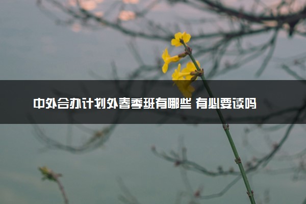 中外合办计划外春季班有哪些 有必要读吗
