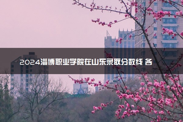 2024淄博职业学院在山东录取分数线 各专业分数及位次