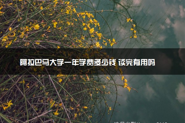 阿拉巴马大学一年学费多少钱 读完有用吗