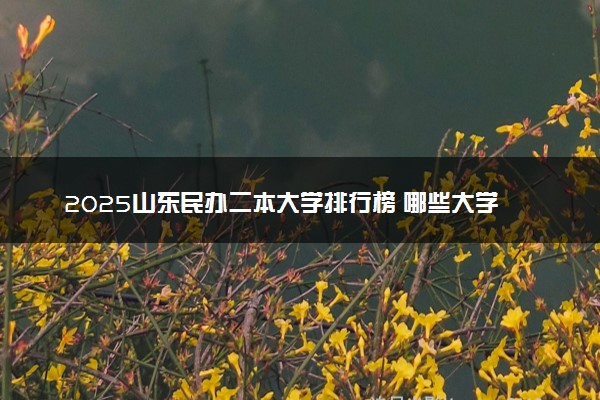 2025山东民办二本大学排行榜 哪些大学受欢迎