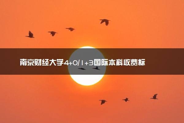 南京财经大学4+0/1+3国际本科收费标准 学费多少钱