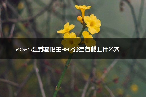 2025江苏物化生387分左右能上什么大学 可以报考的院校名单