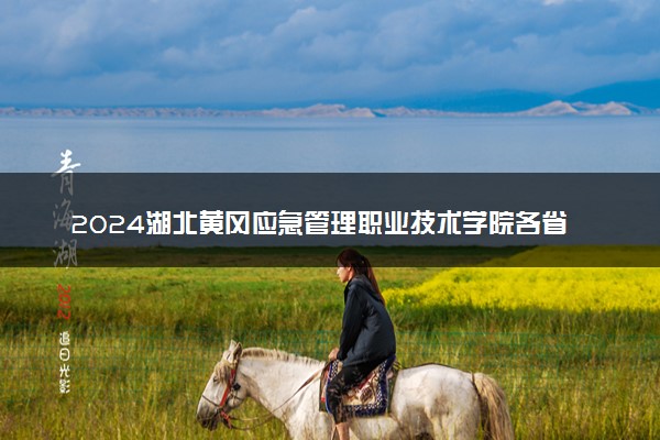 2024湖北黄冈应急管理职业技术学院各省录取分数线是多少 最低分及位次