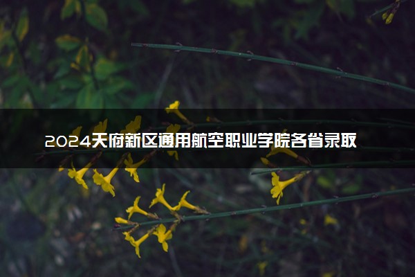 2024天府新区通用航空职业学院各省录取分数线是多少 最低分及位次