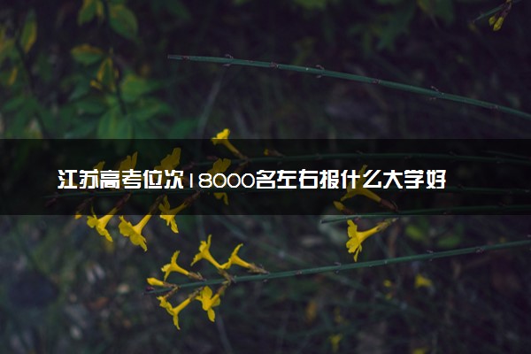 江苏高考位次18000名左右报什么大学好（2025年参考）