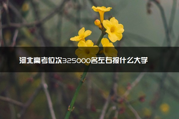 河北高考位次325000名左右报什么大学好（2025年参考）