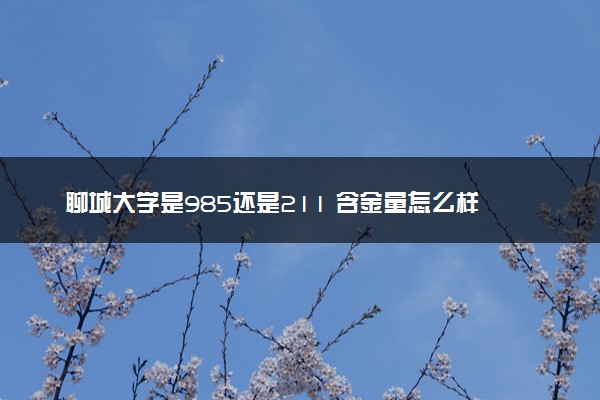 聊城大学是985还是211 含金量怎么样