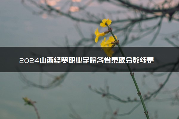 2024山西经贸职业学院各省录取分数线是多少 最低分及位次