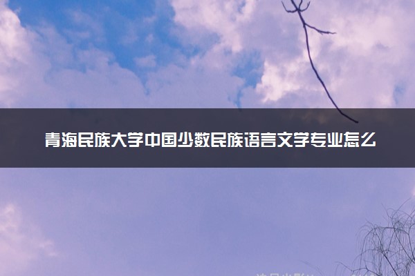 青海民族大学中国少数民族语言文学专业怎么样 录取分数线多少