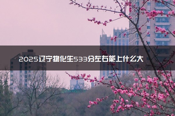 2025辽宁物化生533分左右能上什么大学 可以报考的院校名单