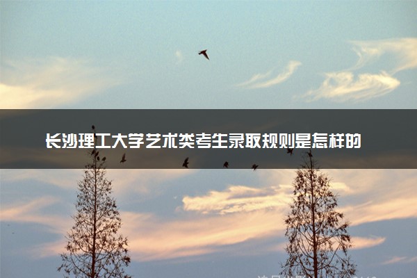 长沙理工大学艺术类考生录取规则是怎样的 有哪些要求