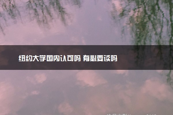 纽约大学国内认可吗 有必要读吗