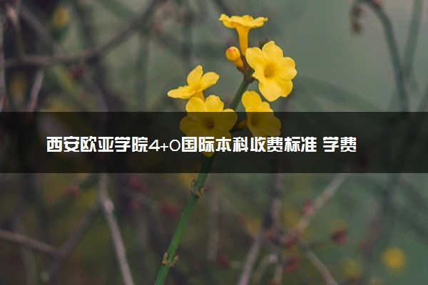 西安欧亚学院4+0国际本科收费标准 学费多少钱