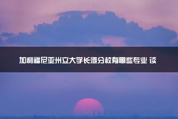 加利福尼亚州立大学长滩分校有哪些专业 读完好就业吗