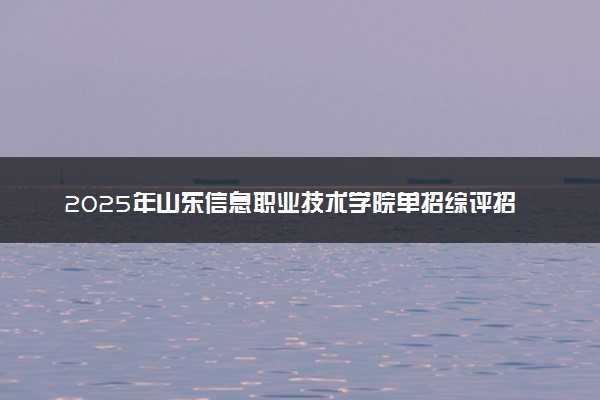 2025年山东信息职业技术学院单招综评招生计划及专业