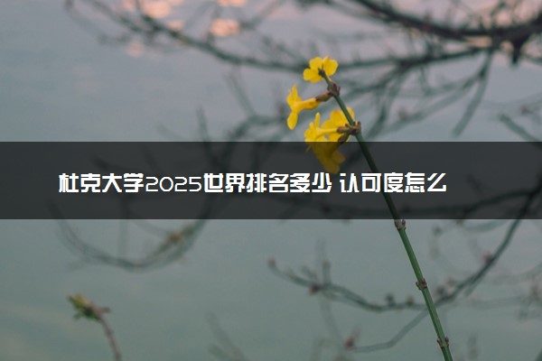 杜克大学2025世界排名多少 认可度怎么样
