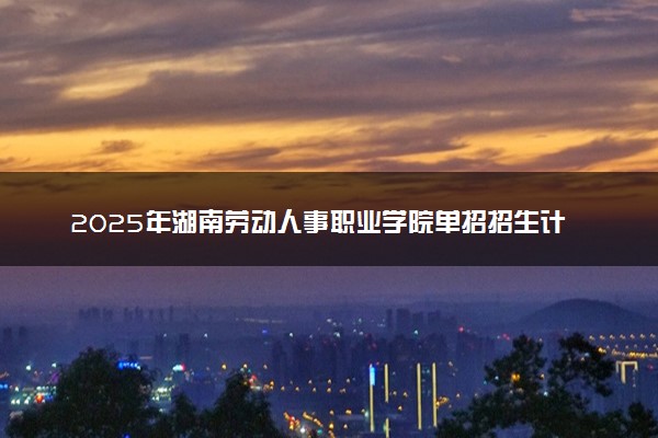 2025年湖南劳动人事职业学院单招招生计划及专业