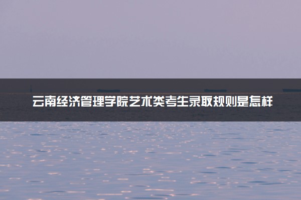 云南经济管理学院艺术类考生录取规则是怎样的 有哪些要求