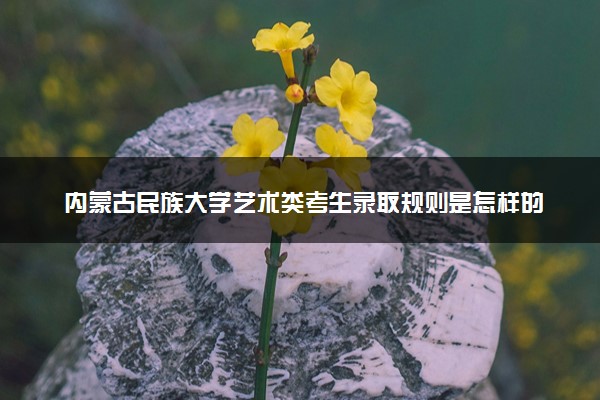 内蒙古民族大学艺术类考生录取规则是怎样的 有哪些要求