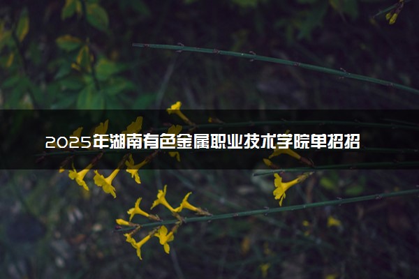 2025年湖南有色金属职业技术学院单招招生计划及专业
