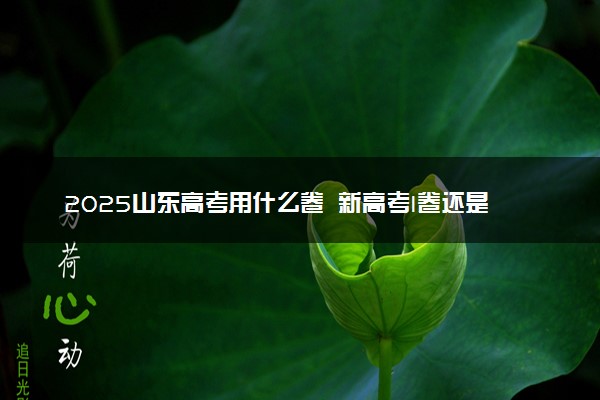 2025山东高考用什么卷 新高考I卷还是II卷