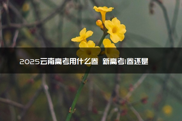 2025云南高考用什么卷 新高考I卷还是II卷
