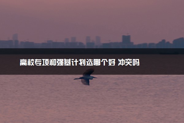 高校专项和强基计划选哪个好 冲突吗